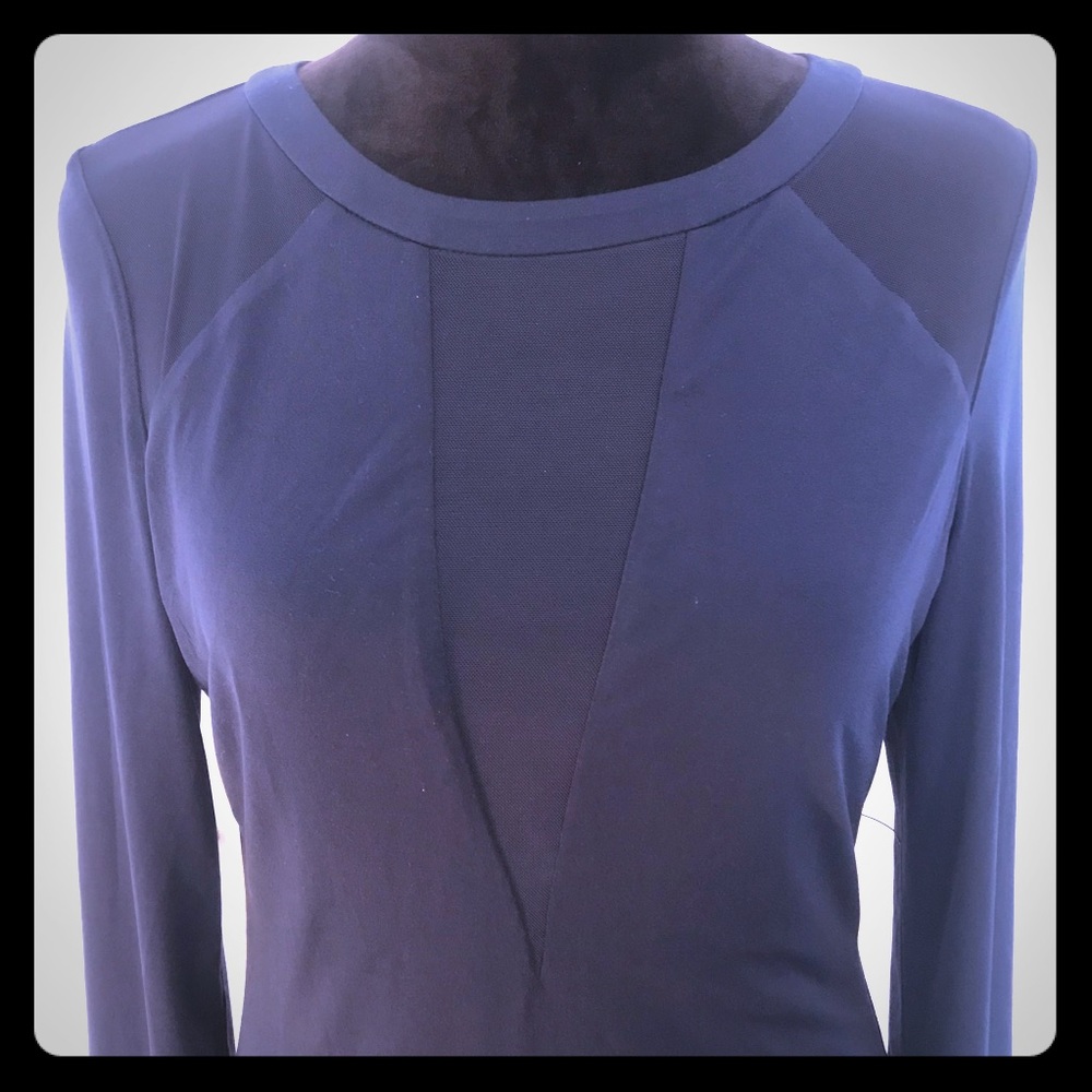 Express Long Sleeve Dress with Sheer Cutouts